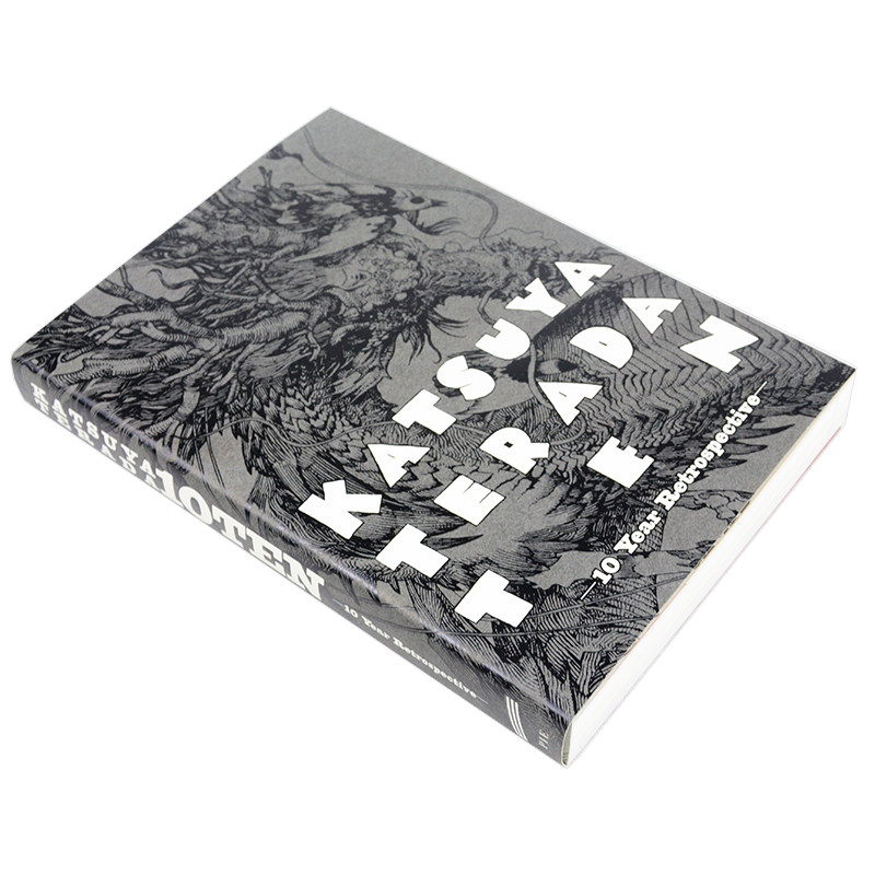 Katsuya Terada 10 Ten 10 Yıllı - Photography Book incelemesi ve fiyatı